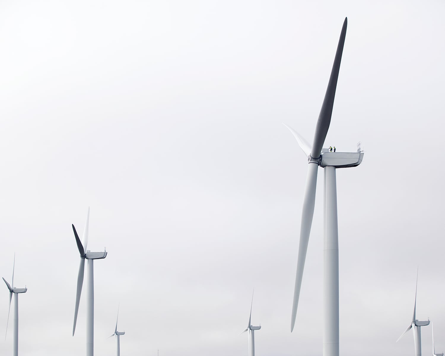 wind farm